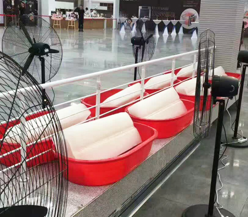 陕西降温冰块 陕西降温冰块